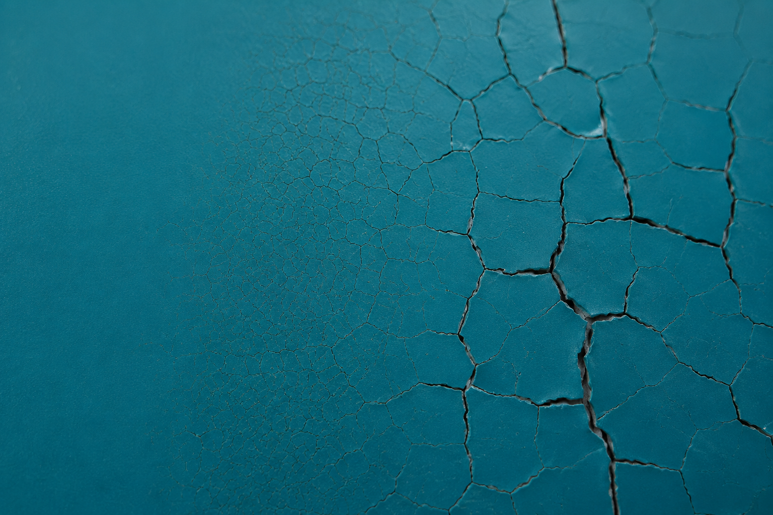 Checking and cracking coating defect